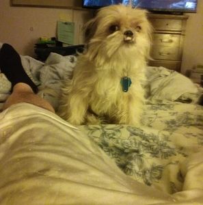 Meet your Posher, Michael